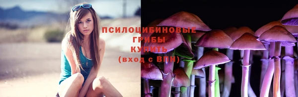 соль курить ск Алексин