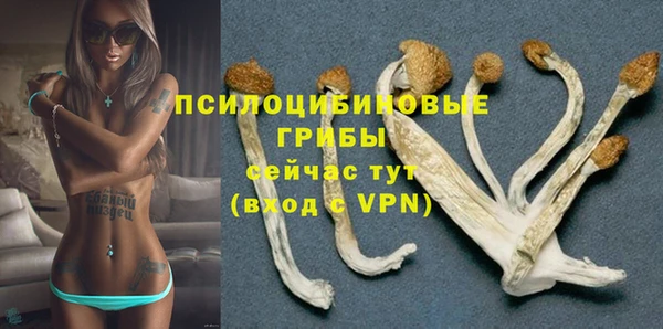 мяу мяу мука Алексеевка