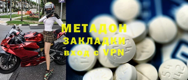 прущие грибы Аркадак
